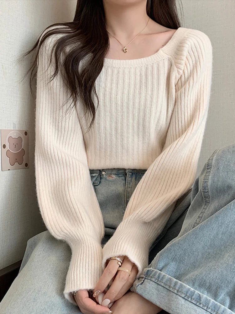 Sweater Collection